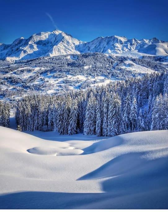 Logement A Megeve Avec Jardin المظهر الخارجي الصورة