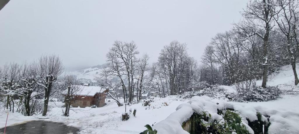 Logement A Megeve Avec Jardin المظهر الخارجي الصورة