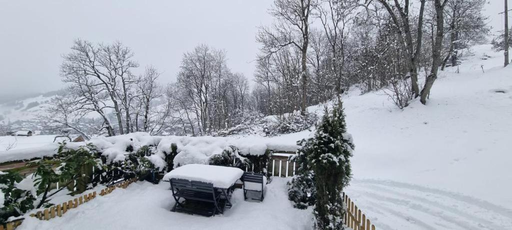 Logement A Megeve Avec Jardin المظهر الخارجي الصورة
